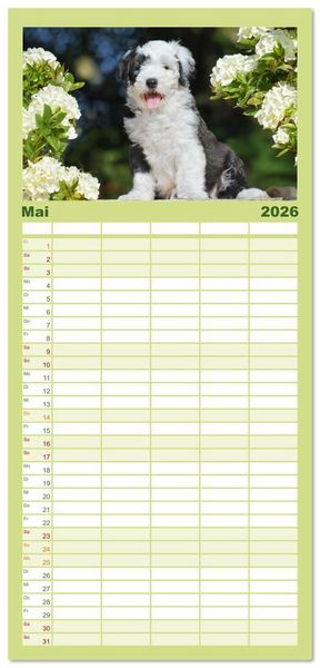 Produktbild: Familienplaner 2026 - In der Kinderstube bei Familie Bobtail mit 5 Spalten (Wandkalender, 21 x 45 cm) CALVENDO