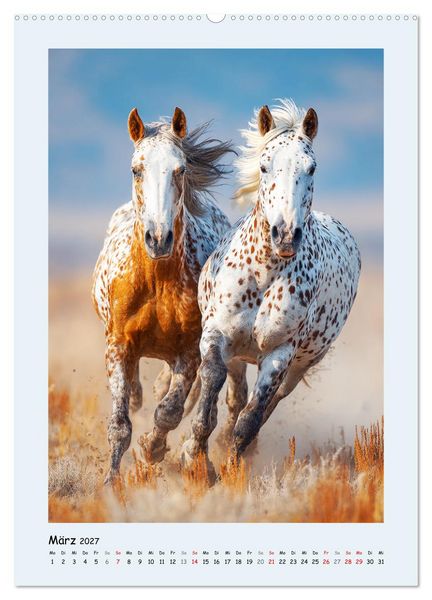 Produktbild: Der Appaloosa. Ein zuverl&auml;ssiges Westernpferd in bunter Optik (Wandkalender 2027 DIN A2 hoch), CALVENDO Monatskalender