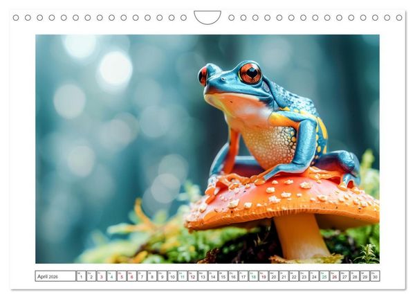 Produktbild: Lustige Amphibienbande (Wandkalender 2026 DIN A4 quer), CALVENDO Monatskalender