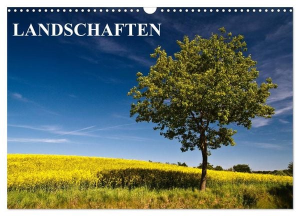 Produktbild: Landschaften (Wandkalender 2026 DIN A3 quer), CALVENDO Monatskalender