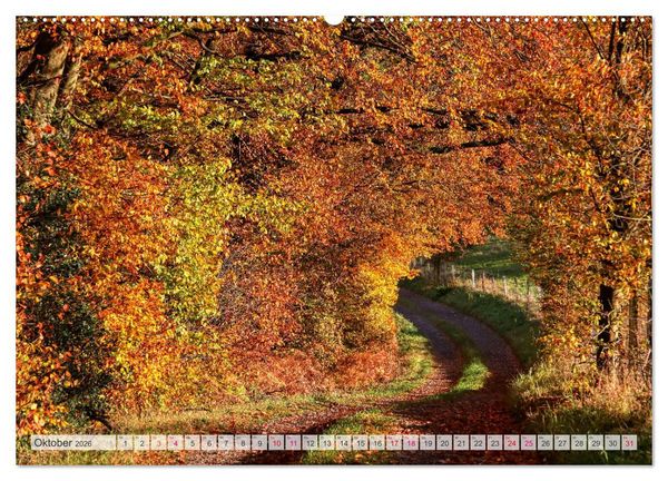 Produktbild: Idyllische Wanderwege im Bergischen Land (Wandkalender 2026 DIN A2 quer), CALVENDO Monatskalender
