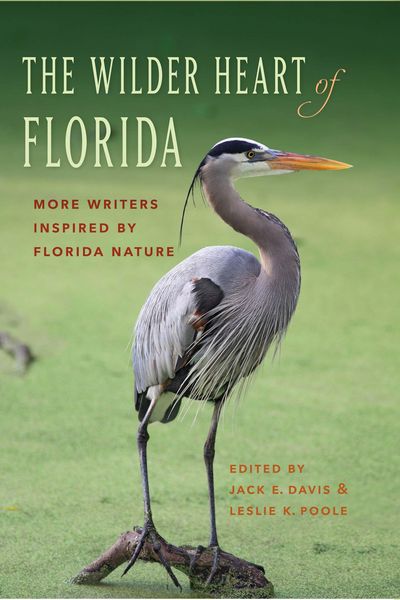 Produktbild: The Wilder Heart of Florida