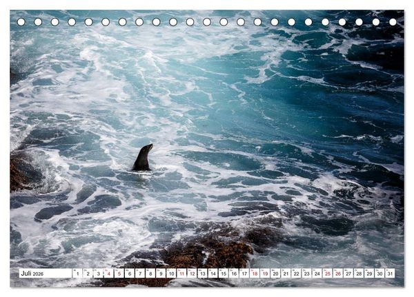 Produktbild: Wildlife Australien (Tischkalender 2026 DIN A5 quer), CALVENDO Monatskalender