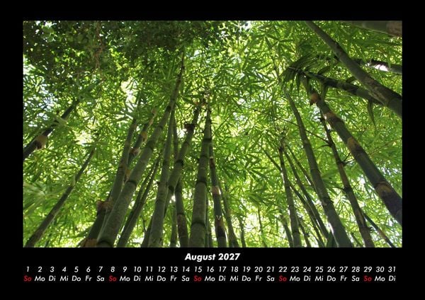 Produktbild: Waldzauber 2027 Fotokalender DIN A3
