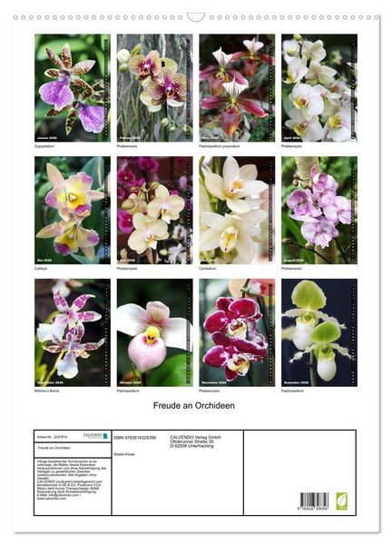 Produktbild: Freude an Orchideen (Wandkalender 2026 DIN A2 hoch), CALVENDO Monatskalender