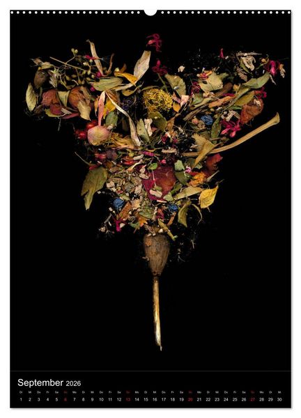 Produktbild: Blumen bei Nacht (hochwertiger Premium Wandkalender 2026 DIN A2 hoch), Kunstdruck in Hochglanz
