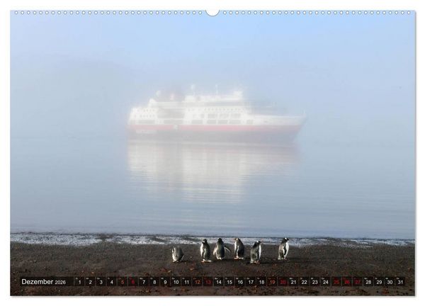 Produktbild: Tierparadies S&uuml;dpolarmeer (hochwertiger Premium Wandkalender 2026 DIN A2 quer), Kunstdruck in Hochglanz