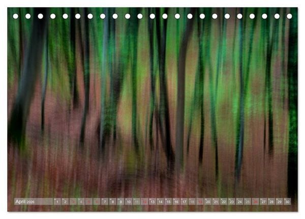 Produktbild: Atelier Wald - gemalt mit Licht (Tischkalender 2026 DIN A5 quer), CALVENDO Monatskalender