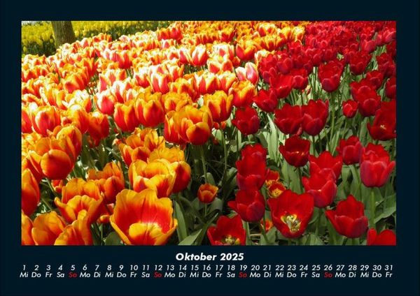 Produktbild: Blick in die Natur 2025 Fotokalender DIN A4