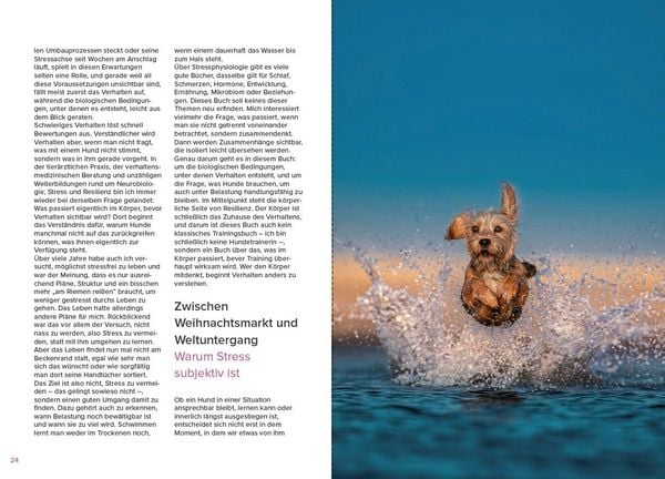 Produktbild: Stress beim Hund verstehen