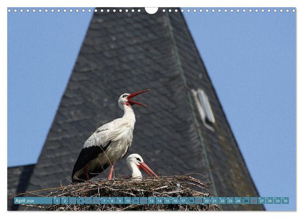 Produktbild: Hannoversches Wendland Vertr&auml;umtes Landleben (Wandkalender 2026 DIN A3 quer), CALVENDO Monatskalender