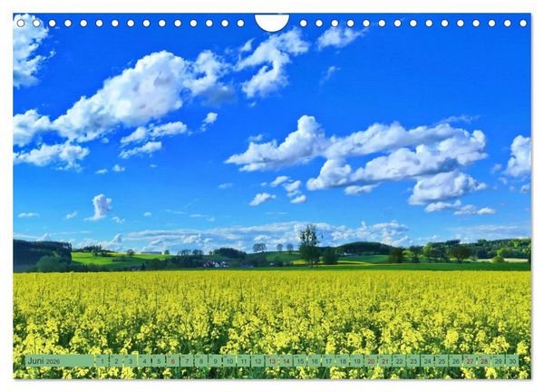 Produktbild: Die Stauden, magische Landschaft rund um Augsburg (Wandkalender 2026 DIN A4 quer), CALVENDO Monatskalender