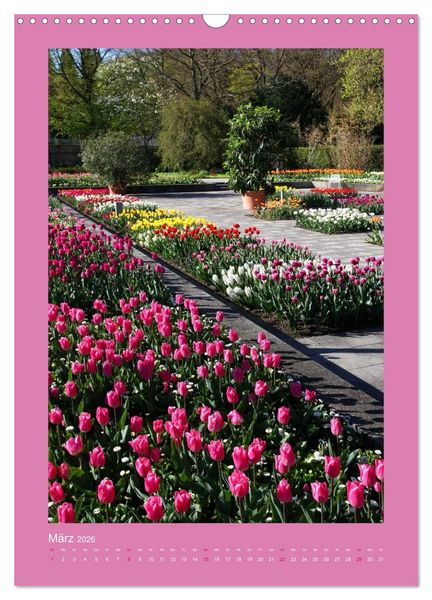 Produktbild: Farbtupferl - Botanischer Garten Augsburg (Wandkalender 2026 DIN A3 hoch), CALVENDO Monatskalender