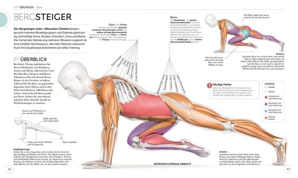 Produktbild: HIIT - Die Anatomie verstehen