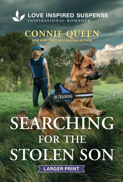 Produktbild: Searching for the Stolen Son