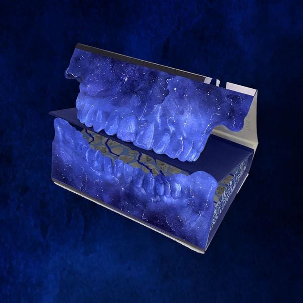 Produktbild: They Both Die at the End Collector's Deluxe Limited Edition