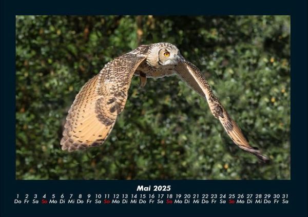 Produktbild: Vogelparadies 2025 Fotokalender DIN A4