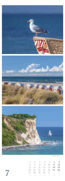 Strandgeflüster - Momente am Meer 2026 - Streifenkalender XXL 25x69 cm - Bildkalender im Hochformat - Wandkalender - Wandplaner - Strandkalender - Deu