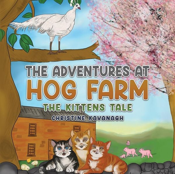 Produktbild: Adventures at Hog Farm