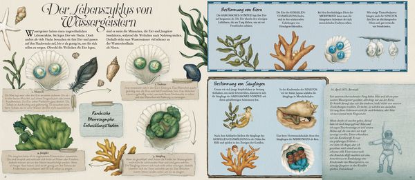 Produktbild: Das gro&szlig;e Handbuch der Nixen und Wasserm&auml;nner