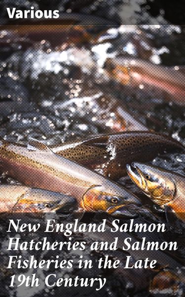 Produktbild: New England Salmon Hatcheries and Salmon Fisheries in the Late 19th Century