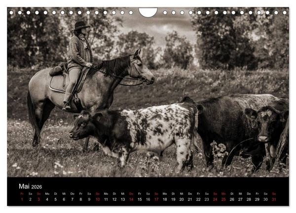 Produktbild: Westernreiten (Wandkalender 2026 DIN A4 quer), CALVENDO Monatskalender