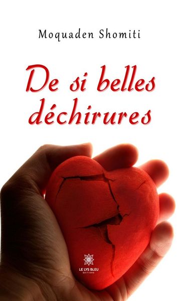 Produktbild: De si belles d&eacute;chirures