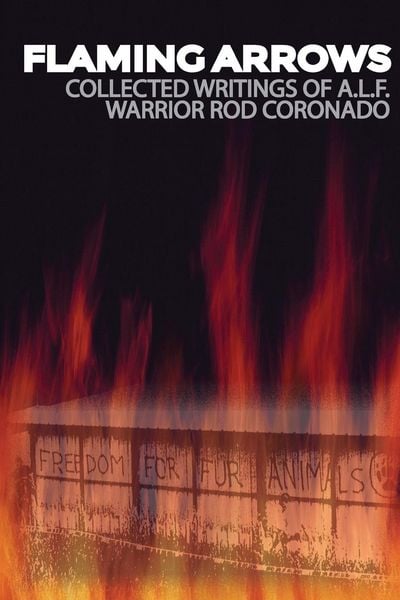 Produktbild: Flaming Arrows