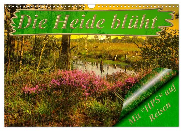 Die Heide blüht (Wandkalender 2026 DIN A3 quer), CALVENDO Monatskalender