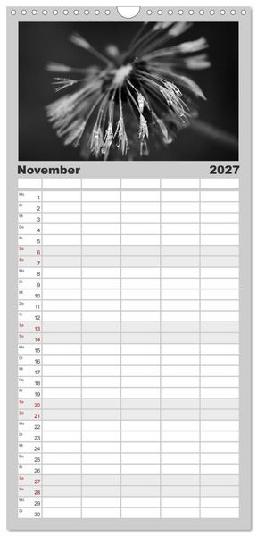 Produktbild: Familienplaner 2027 - Pusteblume - Impressionen in schwarzwei&szlig; mit 5 Spalten (Wandkalender, 21 x 45 cm) CALVENDO