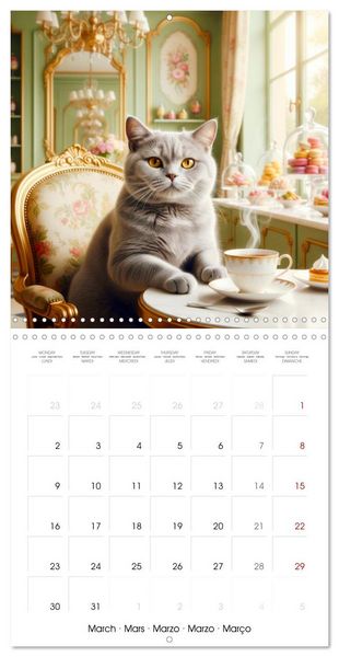 Produktbild: Le duc gris en voyage (Calendrier mural carr&eacute; 2026 30x30 cm) Calendrier double avec une page pour vos prises de notes