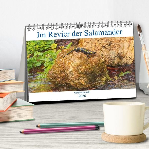 Produktbild: Im Revier der Salamander (Tischkalender 2026 DIN A5 quer), CALVENDO Monatskalender