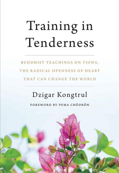 Produktbild: Training in Tenderness