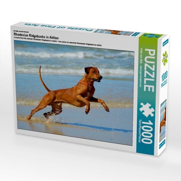 CALVENDO Puzzle Ein Motiv aus dem Kalender Rhodesian Ridgebacks in Aktion | 1000 Teile Lege-Größe 64x48cm Foto-Puzzle für glückliche Stunden