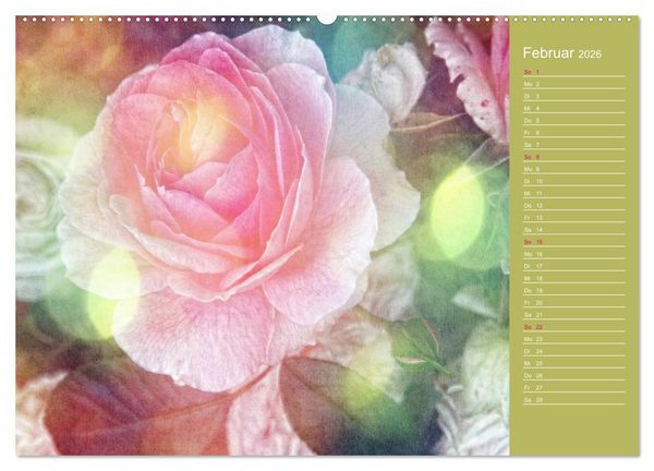 Produktbild: Romantische Rosen (Wandkalender 2026 DIN A2 quer), CALVENDO Monatskalender