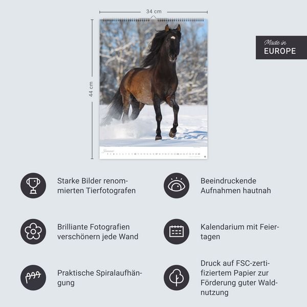 Produktbild: Pferde Classics Posterkalender 2027
