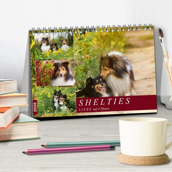 Produktbild: SHELTIES Liebe auf 4 Pfoten (Tischkalender 2026 DIN A5 quer), CALVENDO Monatskalender