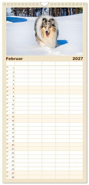 Produktbild: Familienplaner 2027 - Faszinierende Rough Collies mit 5 Spalten (Wandkalender, 21 x 45 cm) CALVENDO