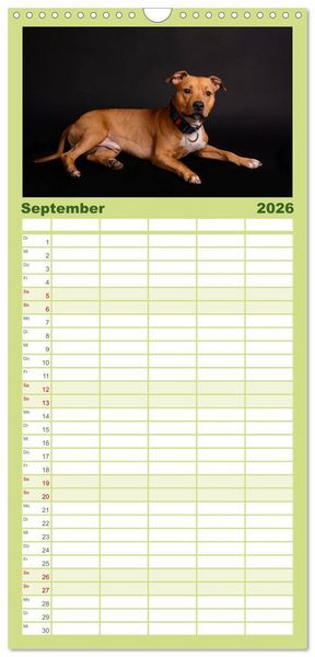 Produktbild: Familienplaner 2026 - American Staff und Co. mit 5 Spalten (Wandkalender, 21 x 45 cm) CALVENDO