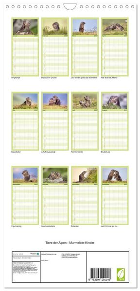 Produktbild: Familienplaner 2027 - Tiere der Alpen - Murmeltier-Kinder mit 5 Spalten (Wandkalender, 21 x 45 cm) CALVENDO