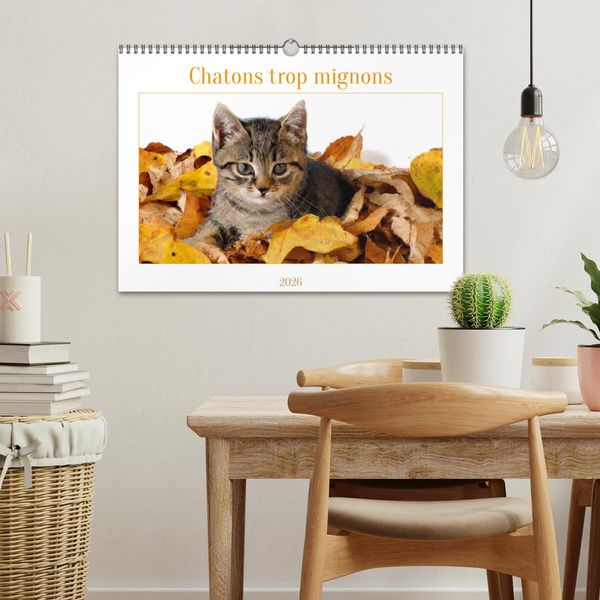 Produktbild: Chatons trop mignons (Calendrier mural 2026 DIN A3 vertical), CALVENDO calendrier mensuel