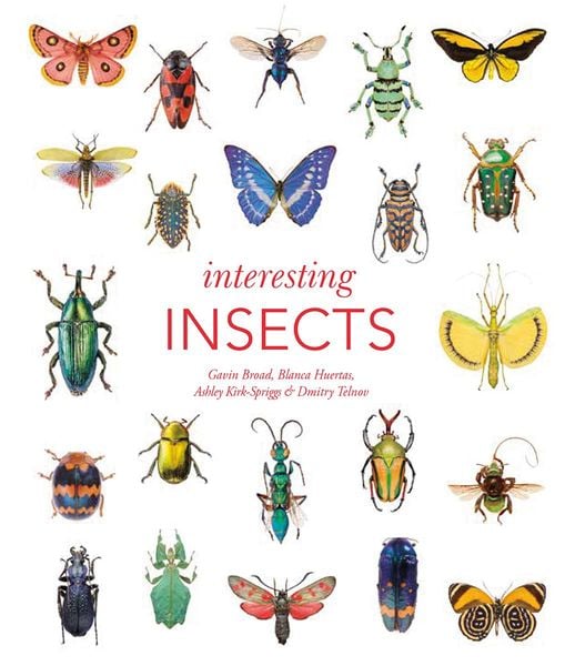 Produktbild: Interesting Insects