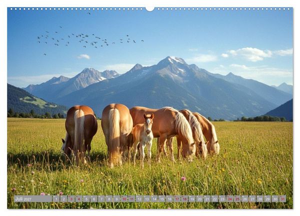 Produktbild: Alpent&auml;ler und Haflinger Pferde (Wandkalender 2027 DIN A2 quer), CALVENDO Monatskalender