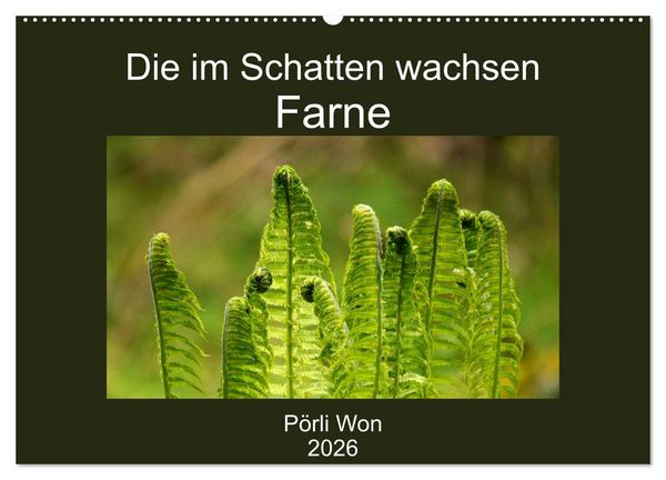 Produktbild: Die im Schatten wachsen - Farne (Wandkalender 2026 DIN A2 quer), CALVENDO Monatskalender