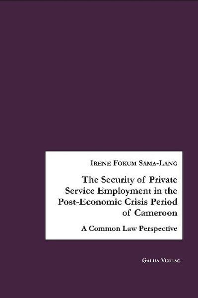 Produktbild: The Security of Private Service Employment in the Post-Economic Crisis Period of Cameroon