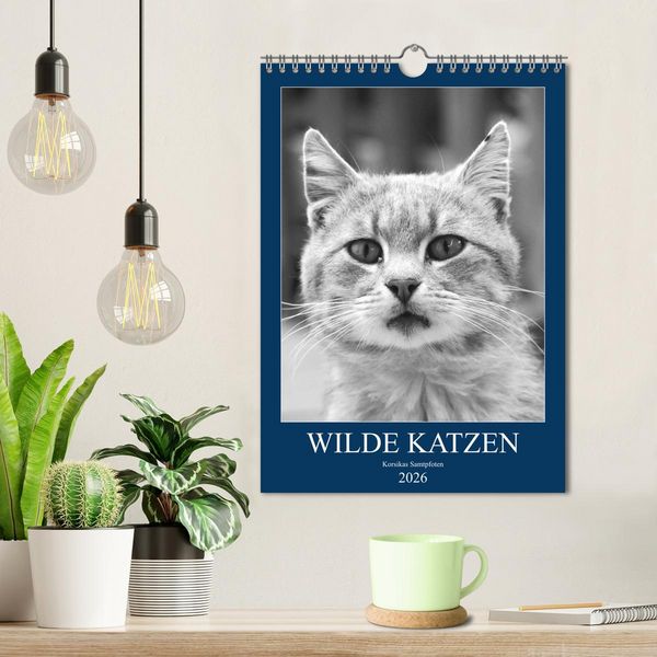 Produktbild: Wilde Katzen - Korsikas Samtpfoten (Wandkalender 2026 DIN A4 hoch), CALVENDO Monatskalender