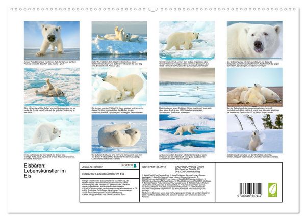 Produktbild: Eisb&auml;ren: Lebensk&uuml;nstler im Eis (hochwertiger Premium Wandkalender 2026 DIN A2 quer), Kunstdruck in Hochglanz