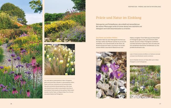 Produktbild: Natur-Pr&auml;rieg&auml;rten