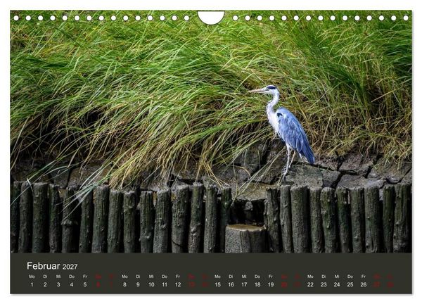 Produktbild: Reiher in der Elbmarsch (Wandkalender 2027 DIN A4 quer), CALVENDO Monatskalender