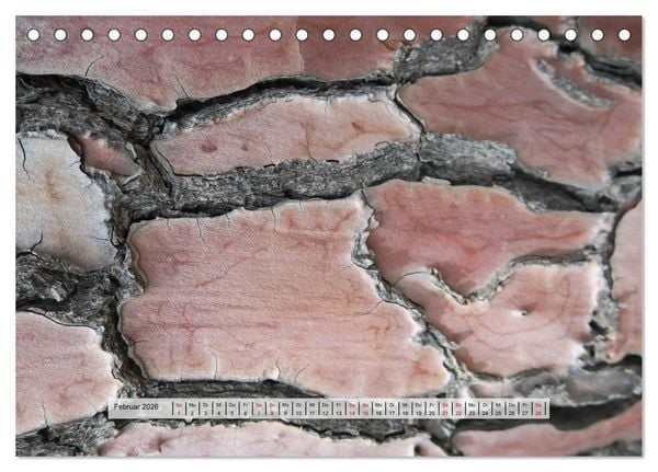 Produktbild: organische Strukturen Abstrakte Formen der Natur (Tischkalender 2026 DIN A5 quer), CALVENDO Monatskalender